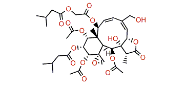 Gemmacolide BB